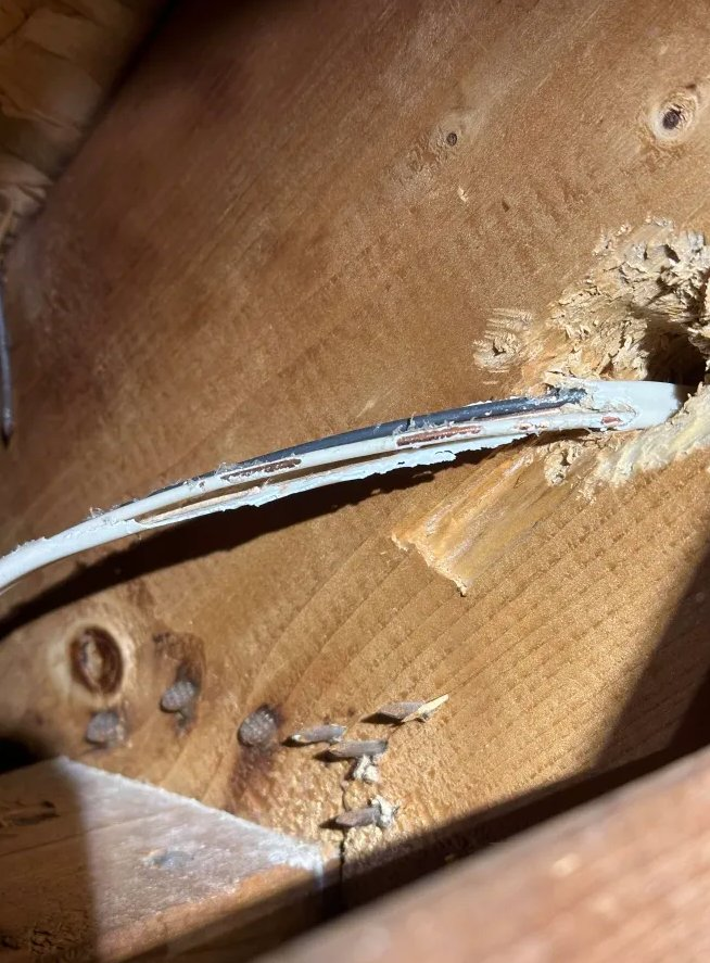 Wire chewed by squirrels — fire hazard